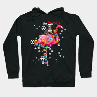 Chihuahua riding Flamingo Christmas Hoodie